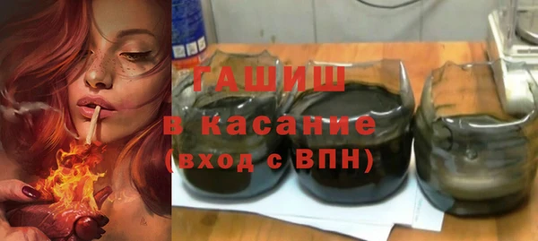 индика Киреевск