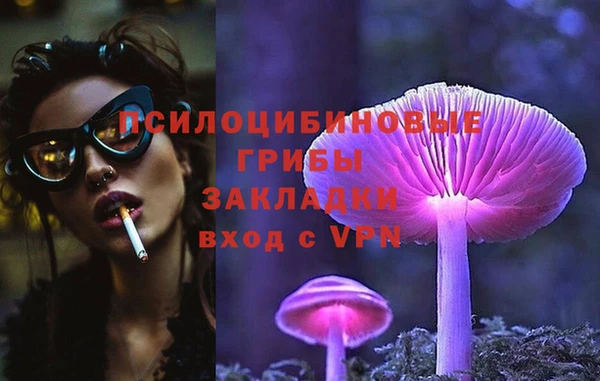 spice Карпинск
