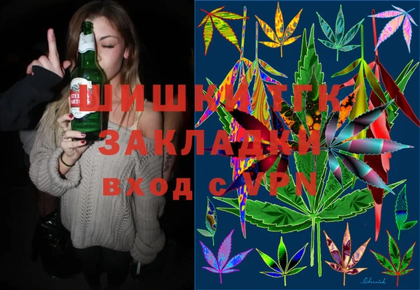 spice Карпинск