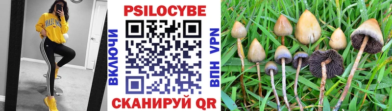 Купить закладки  Белоусово  Галлюциногенные грибы GOLDEN TEACHER 